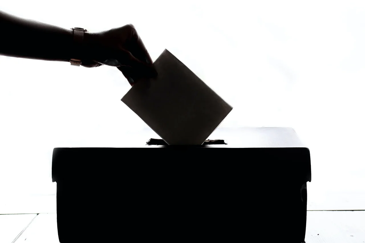 Voting pallot silhouette (black and white)