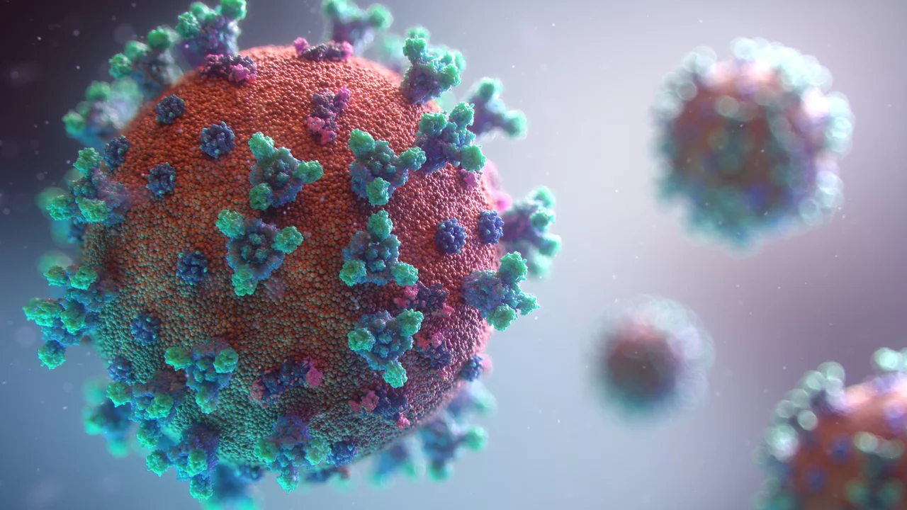 Image of a virus
