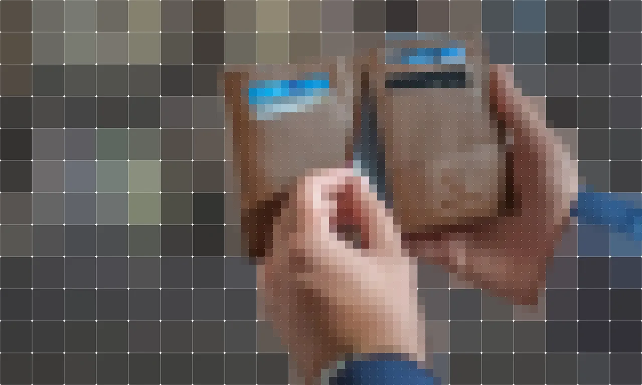 Person holding a wallet with cards