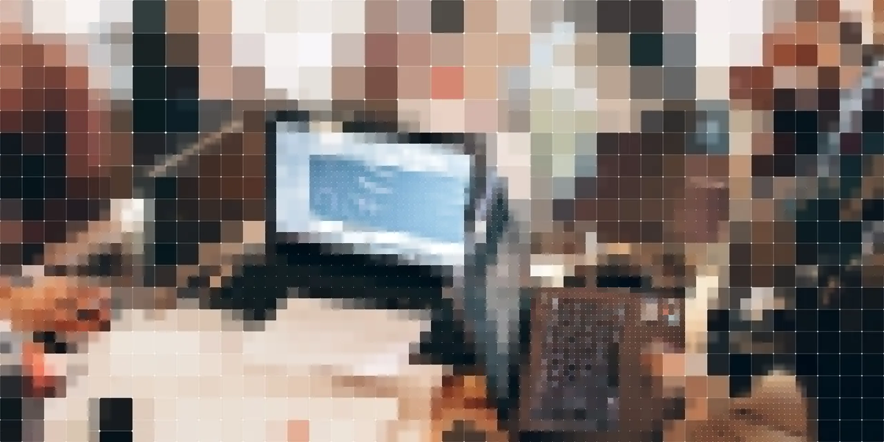 People using laptops