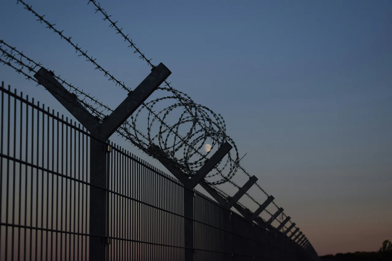 Barbed wire fence