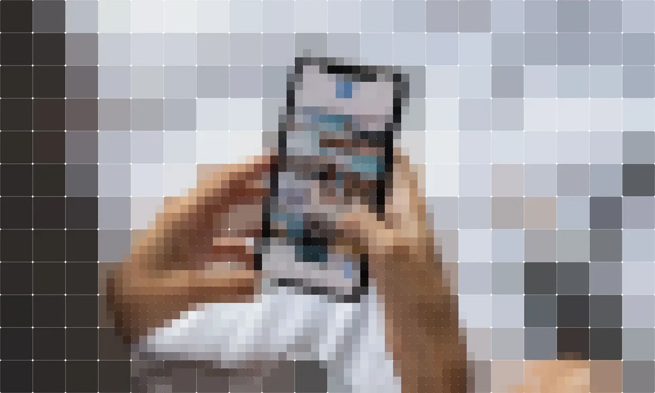 Person using a smartphone