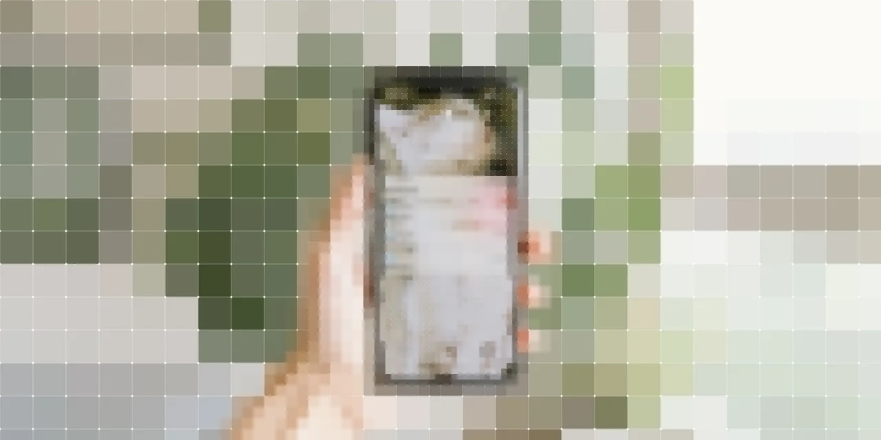 Person holding a smartphone
